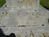 image of grave number 313153